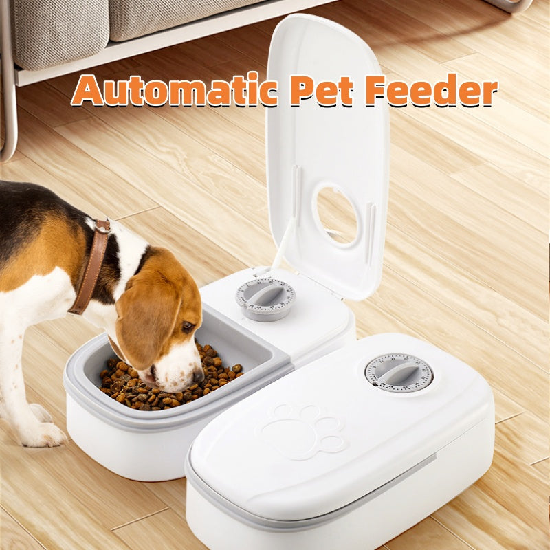 Automatic Pet Feeder - main view